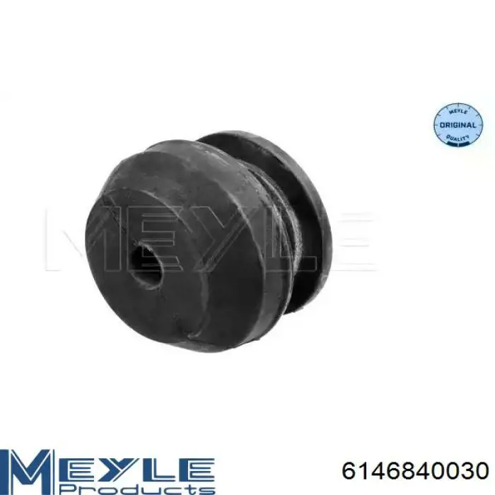 Купити FZ90507 Fortune Line Задня опора двигуна