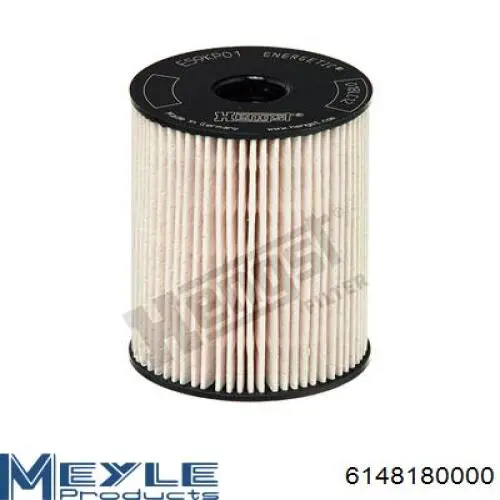 Паливний фільтр FE231D Shafer