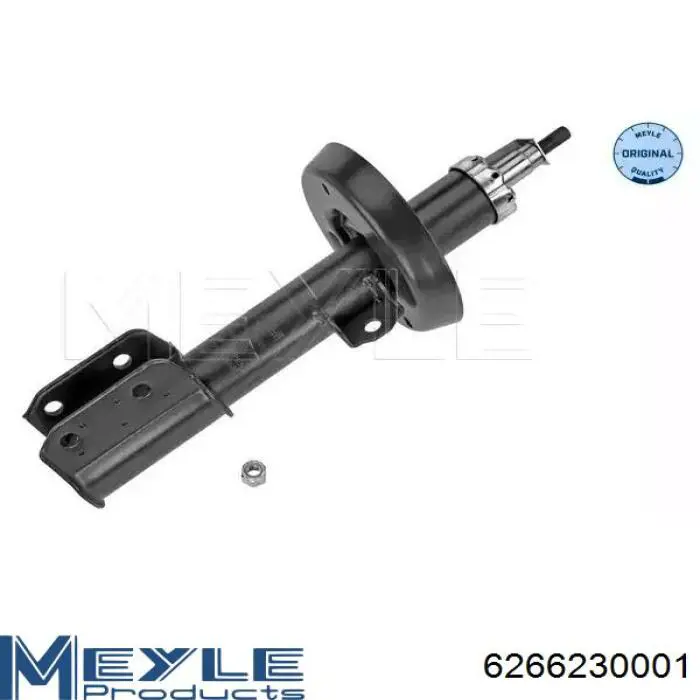 RS230575 Raiso Ліва передня стійка