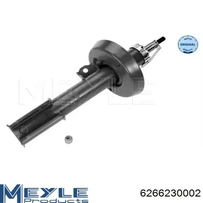 Амортизатор передній, правий Raiso RS230574 ціна, від 41.15 USD