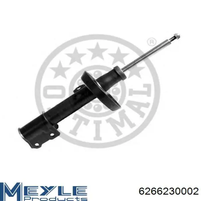 RS230574 Raiso Амортизатор передньої підвіски
