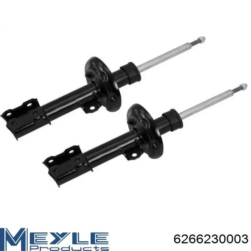 Амортизатор передній, правий Raiso RS290385 ціна, від 32.45 USD