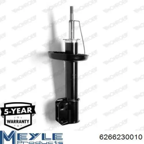 Купити RS110256 Raiso Амортизатор передньої підвіски