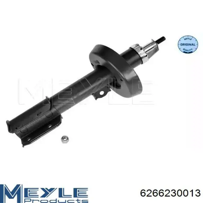 Амортизатор передньої підвіски, лівий Raiso RS280359 ціна, від 37.95 USD
