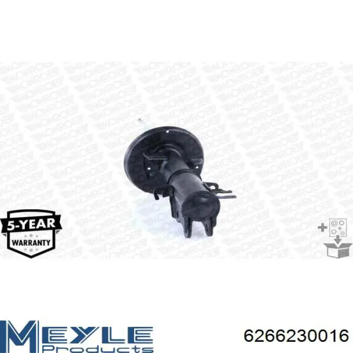 Амортизатора передній лівий RS313566 Raiso