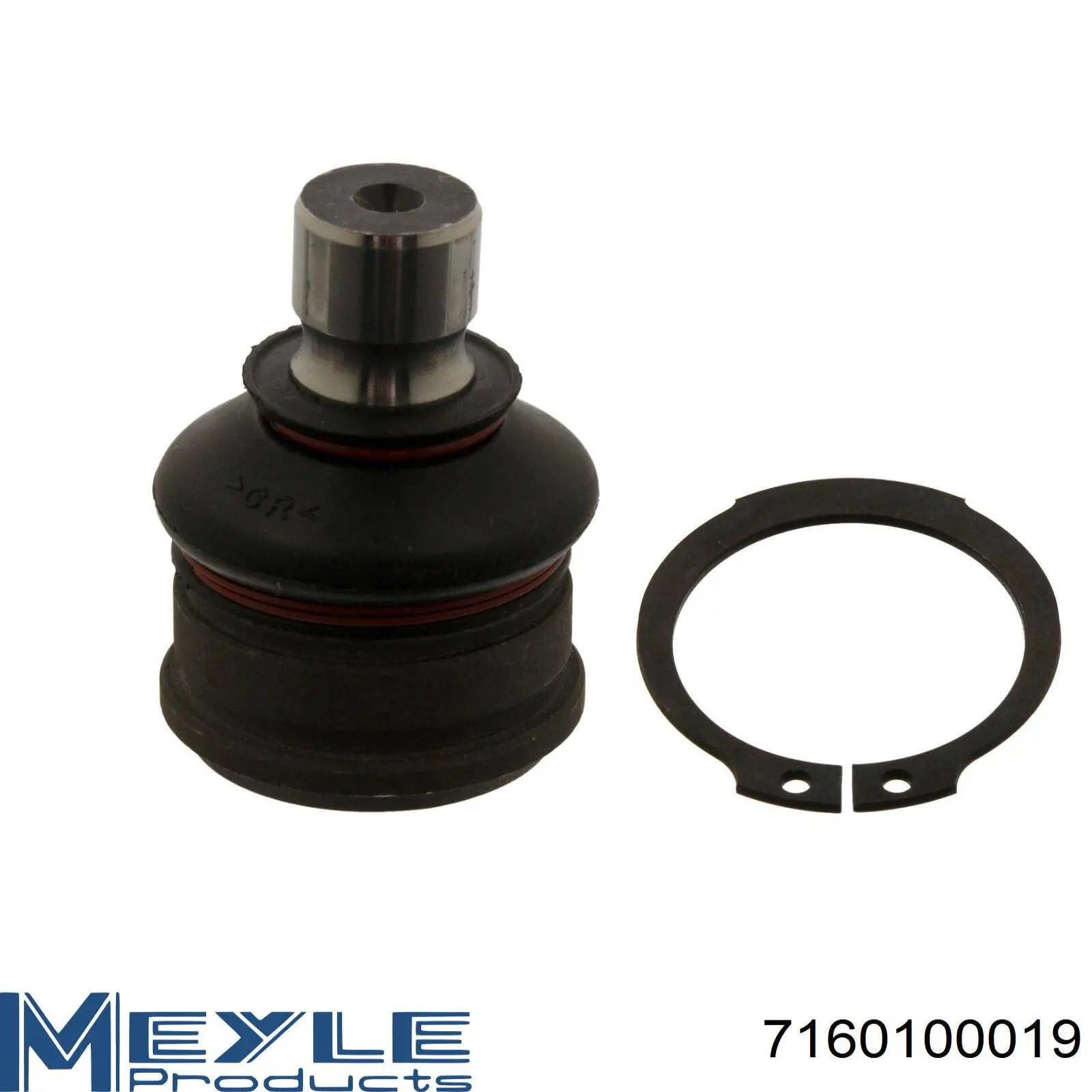 Купити RD99351737309 Rider Кульова опора, нижня