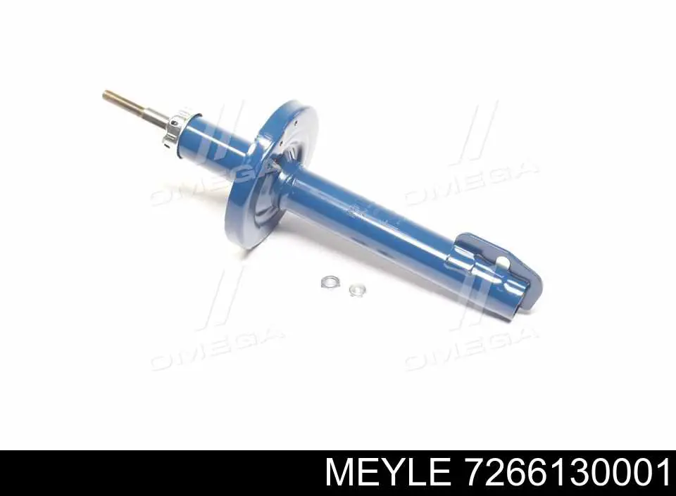 RS115481 Raiso Стійка передня