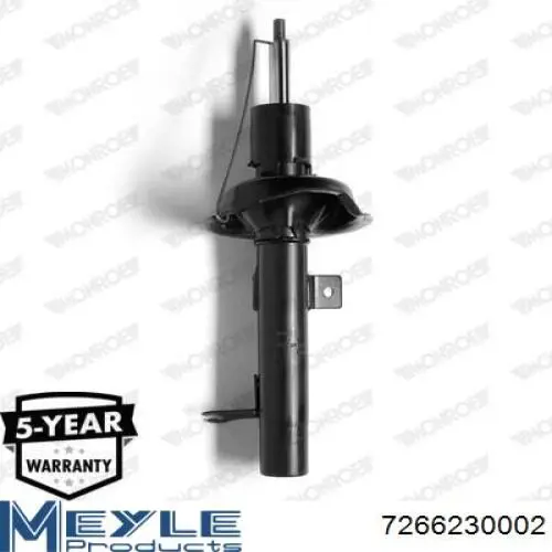 Амортизатор передньої підвіски, лівий Raiso RS230710 ціна, від 33.46 USD