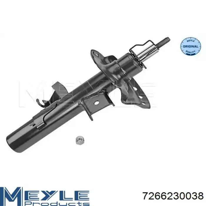 Амортизатор передній, правий Raiso RS313758 ціна, від 50.81 USD