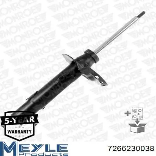 Купити RS313758 Raiso Амортизатор передній, правий