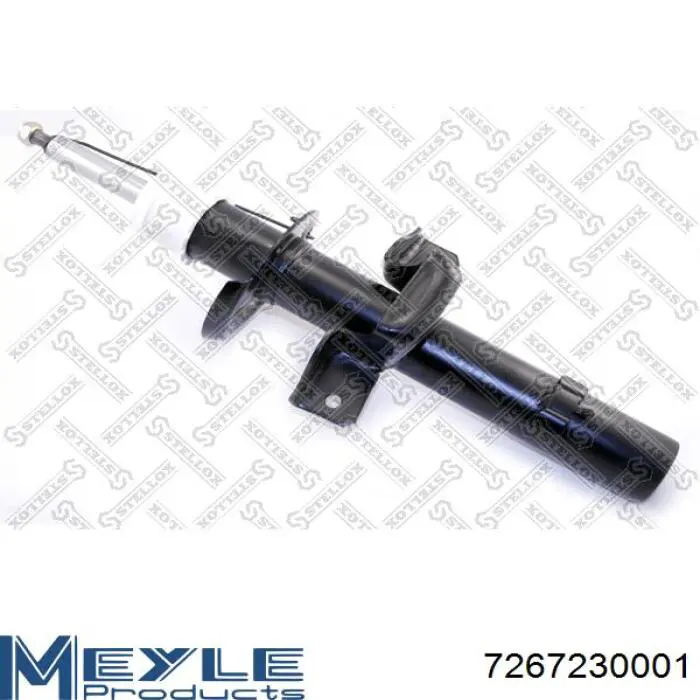 Амортизатор задній Raiso RS312939 ціна, від 37.85 USD