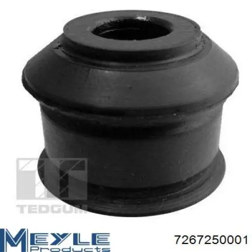 Амортизатор задній Raiso RS230713 ціна, від 20.26 USD