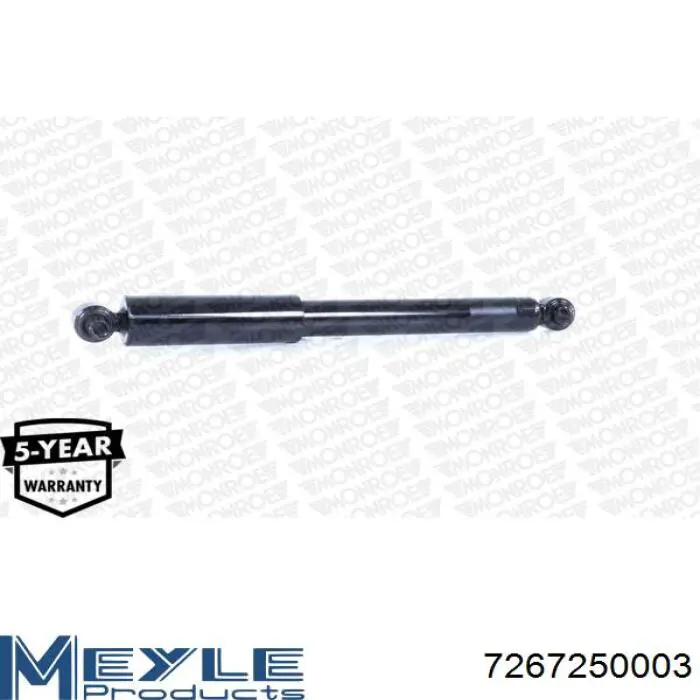 Амортизатор задній Raiso RS280355 ціна, від 19.52 USD