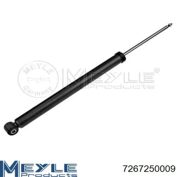 Амортизатор задній Raiso RS313291 ціна, від 19.63 USD