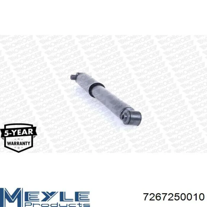 Амортизатор задній Raiso RS315303 ціна, від 22.18 USD