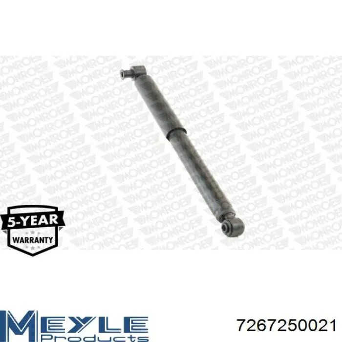 Амортизатор задній Ford 1C1518080KB ціна, від 22.41 USD