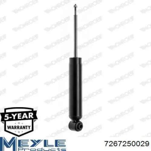 Амортизатор задній Raiso RS313754 ціна, від 24.72 USD