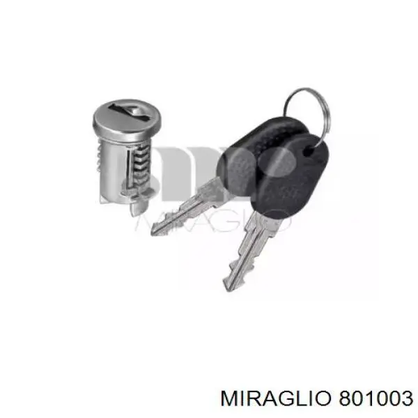 ZR801003 Electric Life 