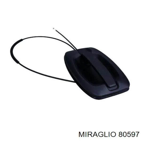 Ручка задніх дверей, зовнішня Magneti Marelli 350105018900 ціна, від 35.04 USD
