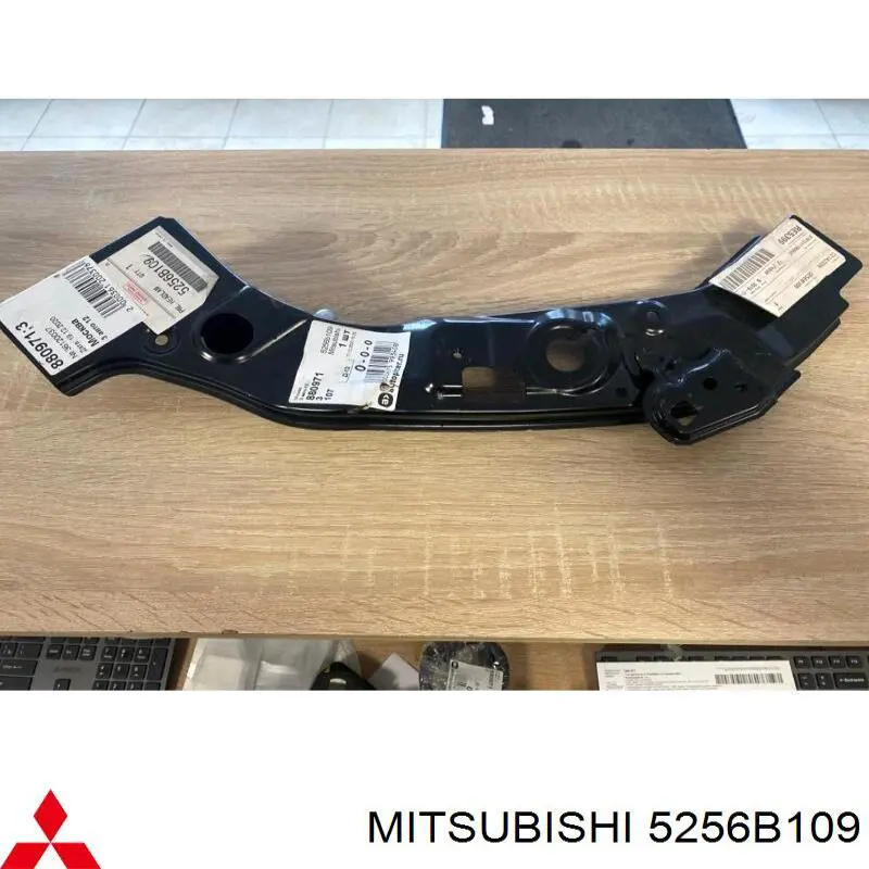 5256B109 Mitsubishi Телевізор лівий