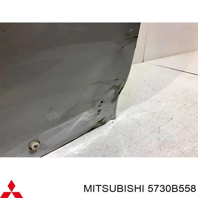 Купити 5730B950 Mitsubishi Двері задні, праві