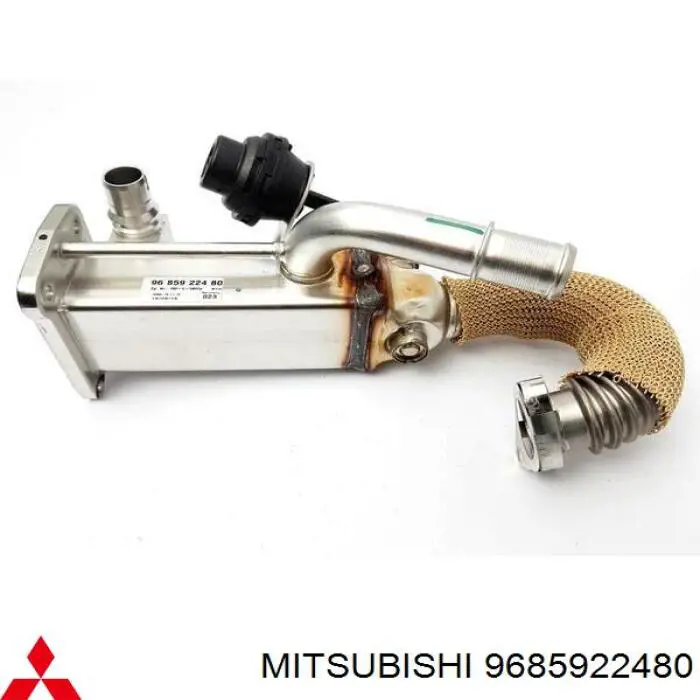 9685922480 Peugeot/Citroen 