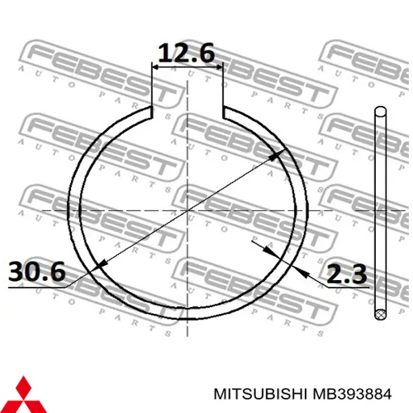 Кільце стопорне підшипника передньої маточини CC130X2 Febest
