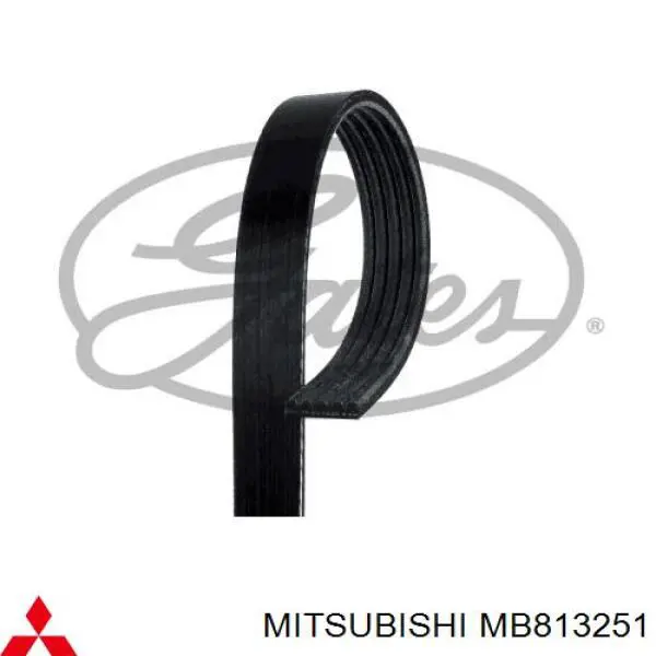 Клиновий ремінь Mitsubishi MB813251 ціна, від 9.48 USD