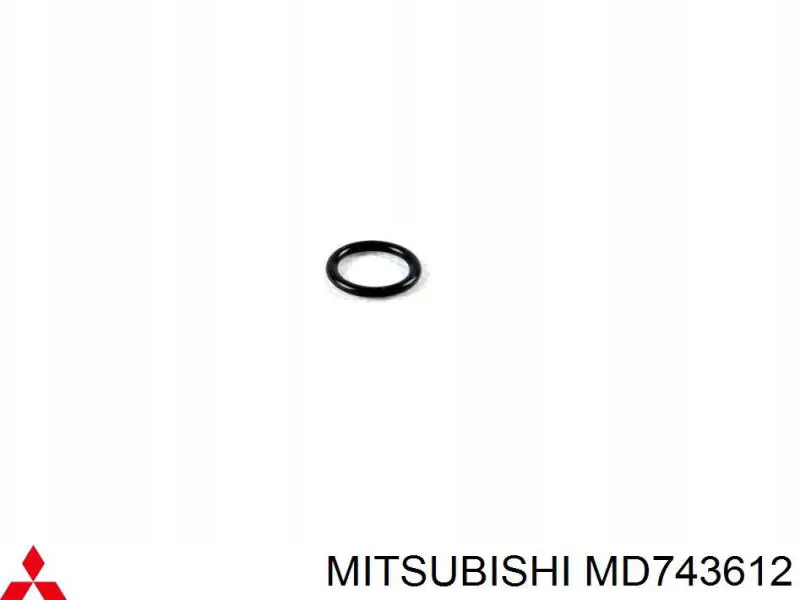 Ущільнювач паливного насосу Mitsubishi Space Runner (N1W, N2W) (Міцубісі Спейс раннер)