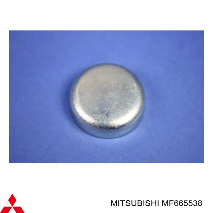 Заглушка ГБЦ/блоку циліндрів Mitsubishi Sigma (F16A) (Міцубісі Сігма)
