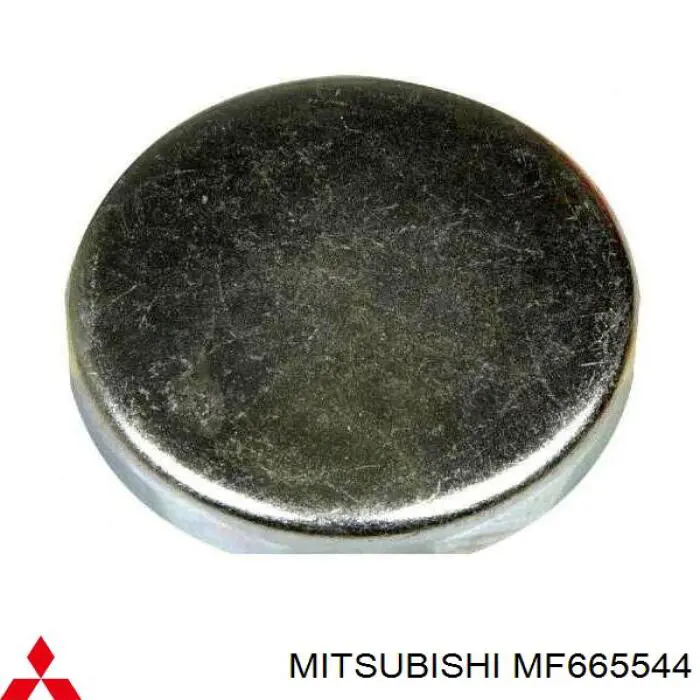 Купити 1573250001 Hyundai/Kia Заглушка блоку циліндрів