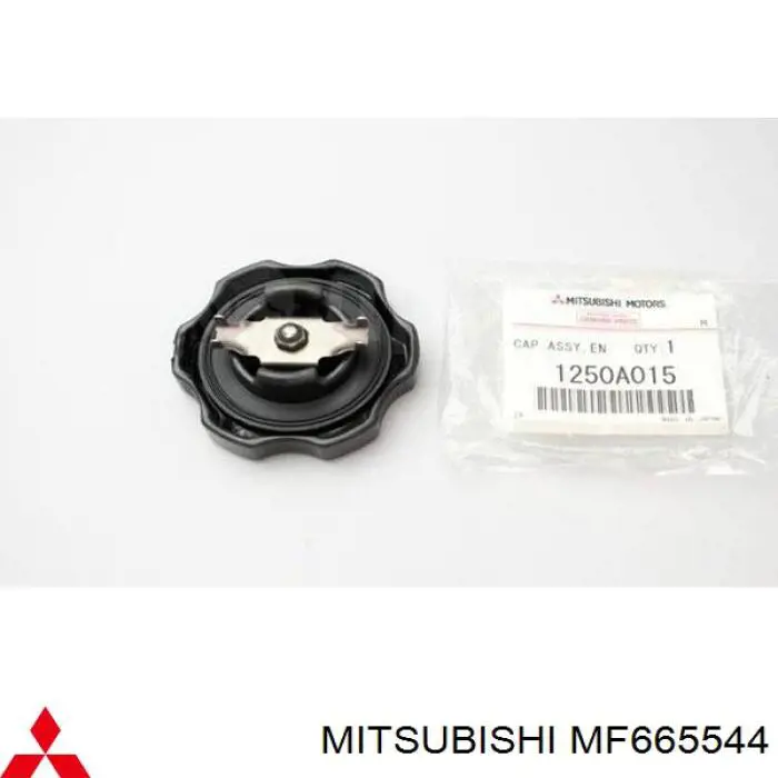 Заглушка ГБЦ/блоку циліндрів Mitsubishi L 300 (P0W, P1W, P2W) (Міцубісі Л300)
