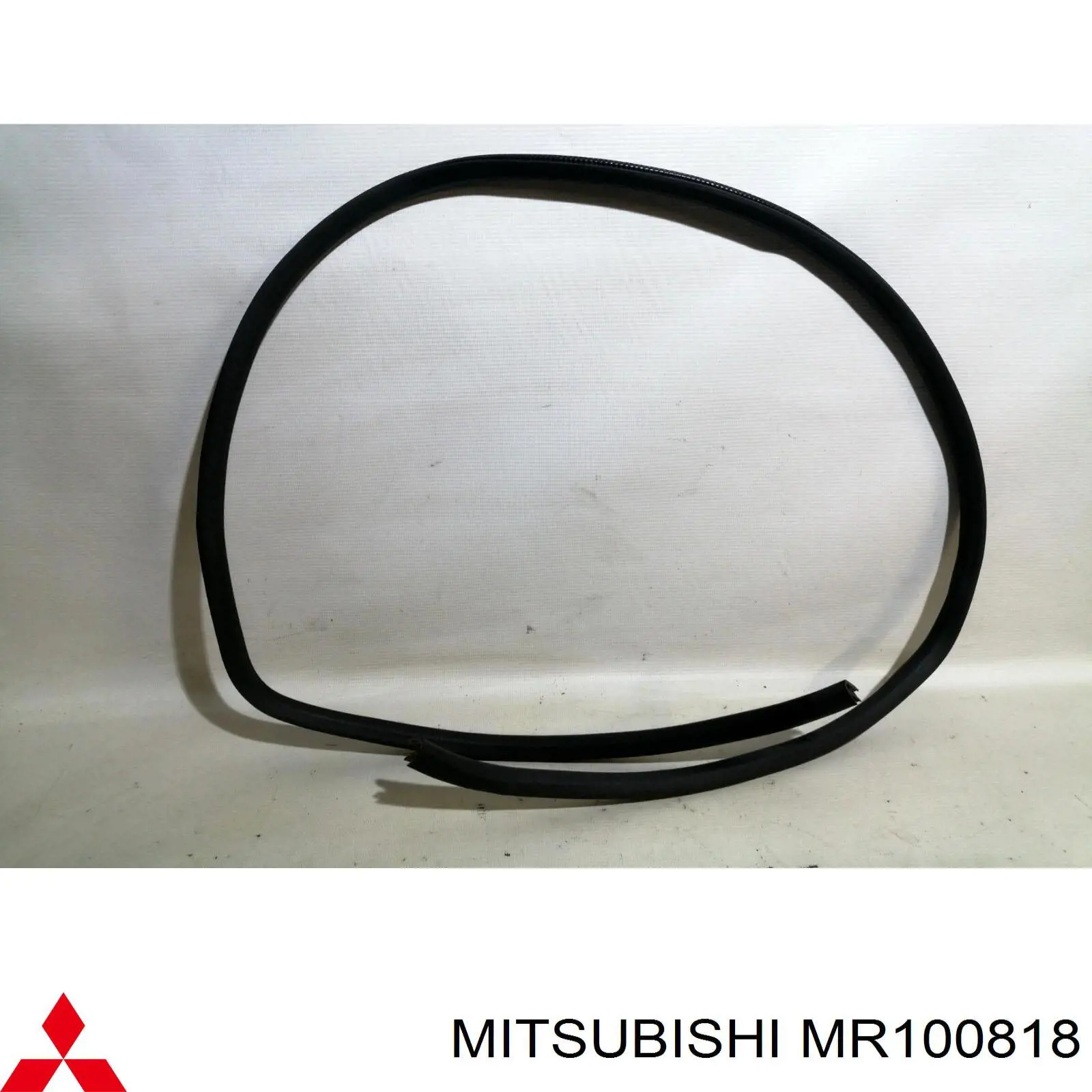 Ущільнювач двері передньої правої (на кузові) Mitsubishi MR100818 ціна, від 13.94 USD