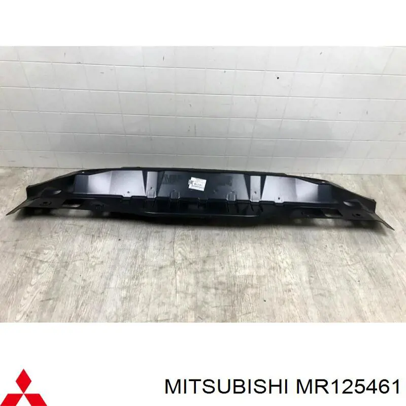 Панель задня, багажного відсіку Mitsubishi MR125461 ціна, від 97.92 USD