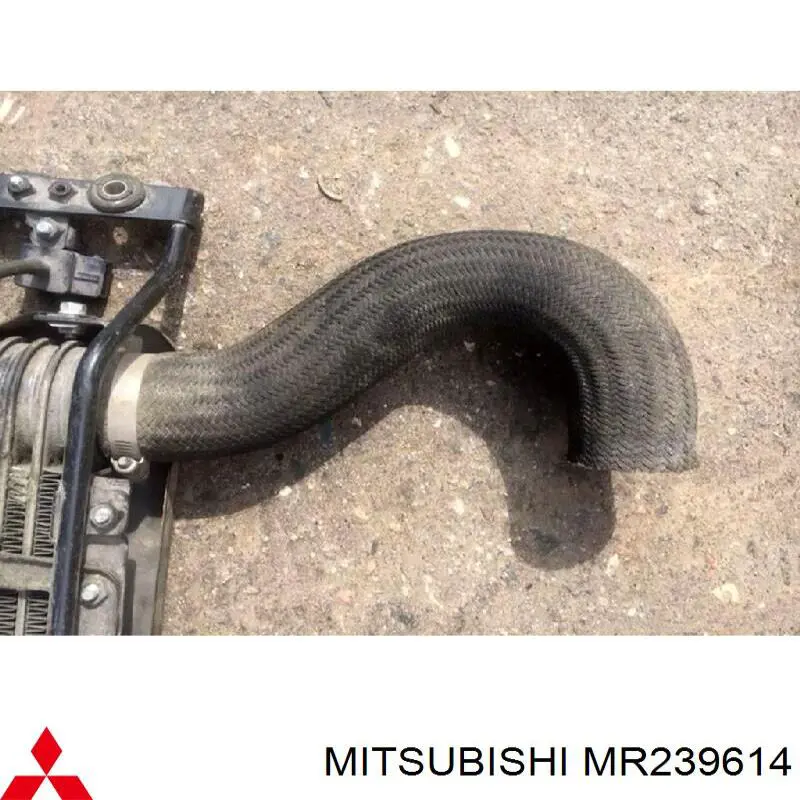 MR239614 Mitsubishi 
