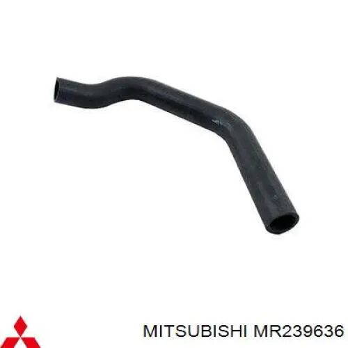 Купити MR239636 Mitsubishi Шланг/патрубок радіатора охолодження, нижній