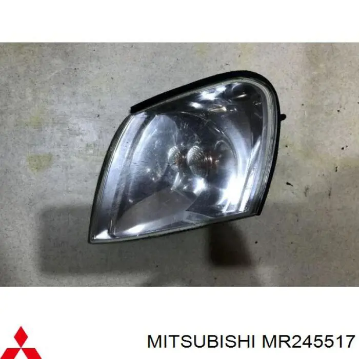 Вказівник повороту лівий ZMB1198L Signeda