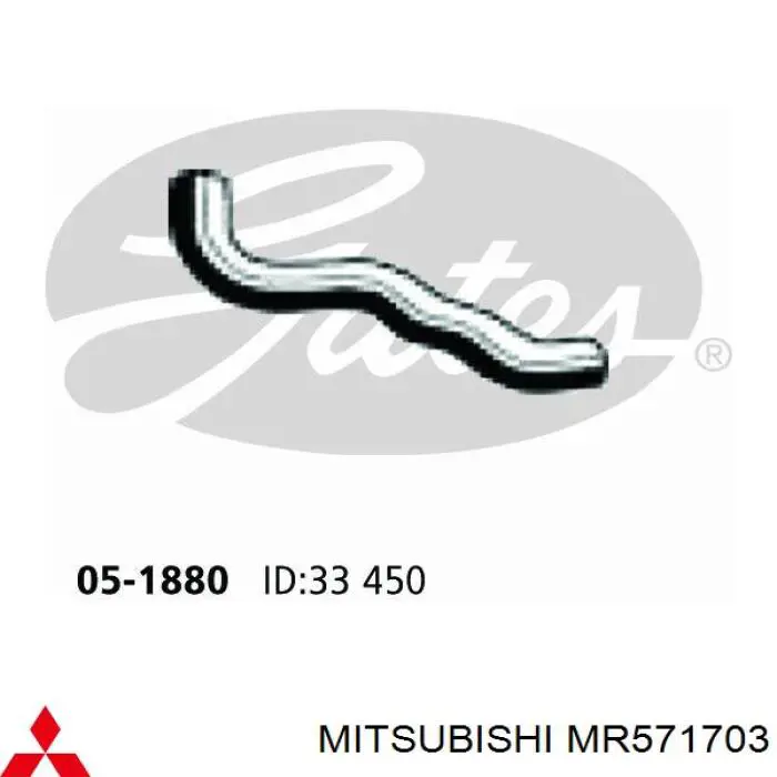 Купити MR571703 Mitsubishi Шланг/патрубок радіатора охолодження, нижній