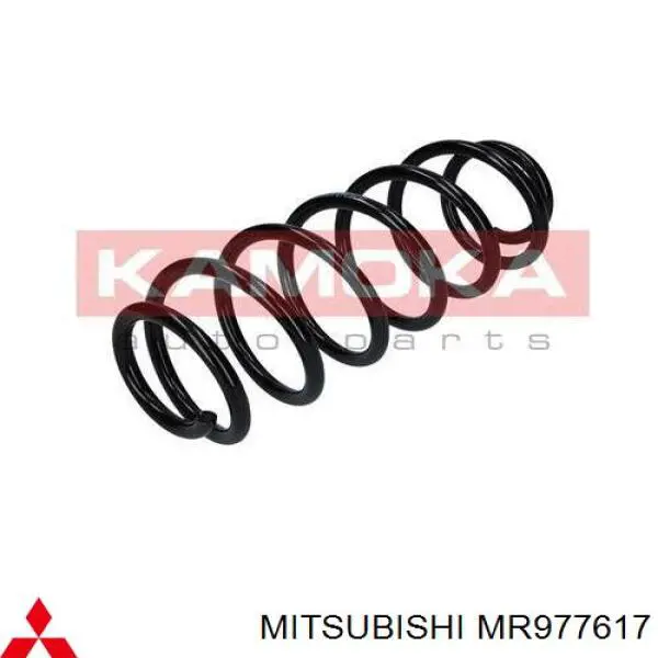 Купити ZC6618H Japan Parts Задні пружини