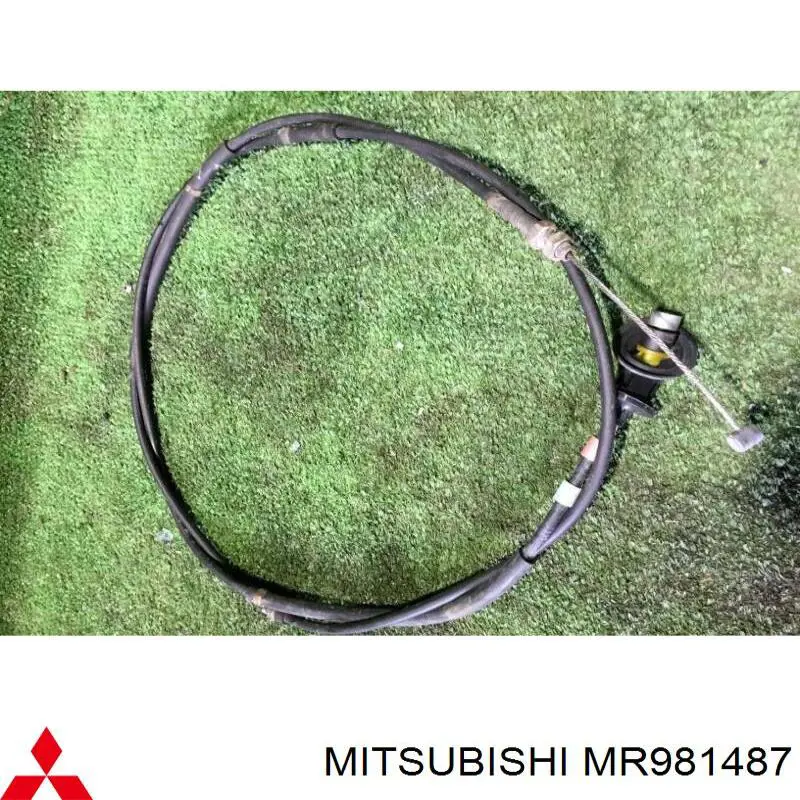 MR981487 Mitsubishi 