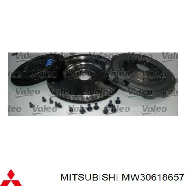 925002 Japko Зчеплення в зборі