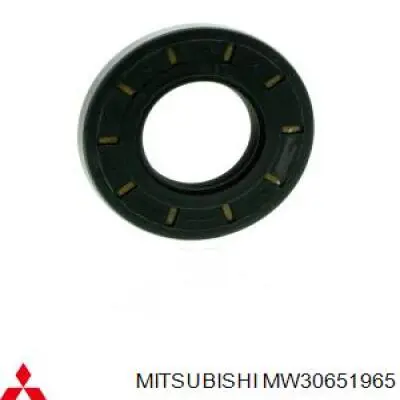 Купити MW30651965 Mitsubishi Сальник піввісі переднього моста, правою