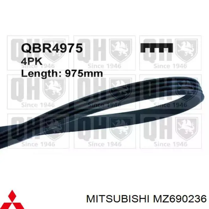 MZ690236 Mitsubishi 