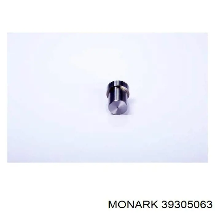 Розпилювач дизельної форсунки 39305063 Monark