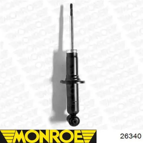 Амортизатор задній Raiso RS556281 ціна, від 28.58 USD