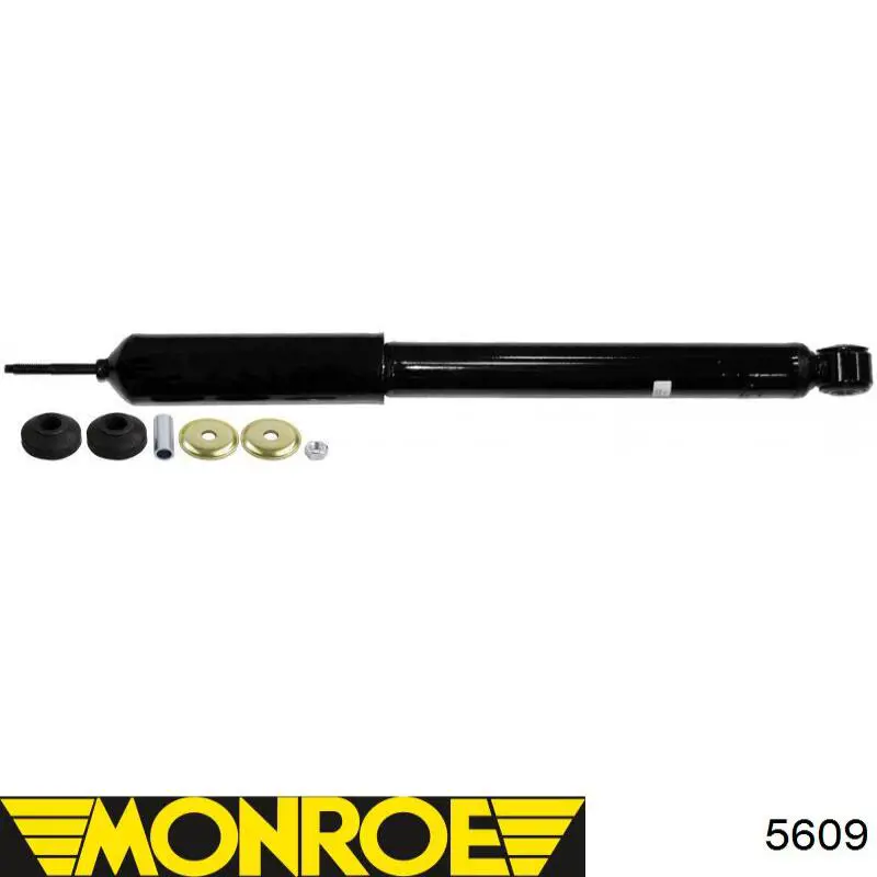 Амортизатор задній Raiso RS348066 ціна, від 27.84 USD