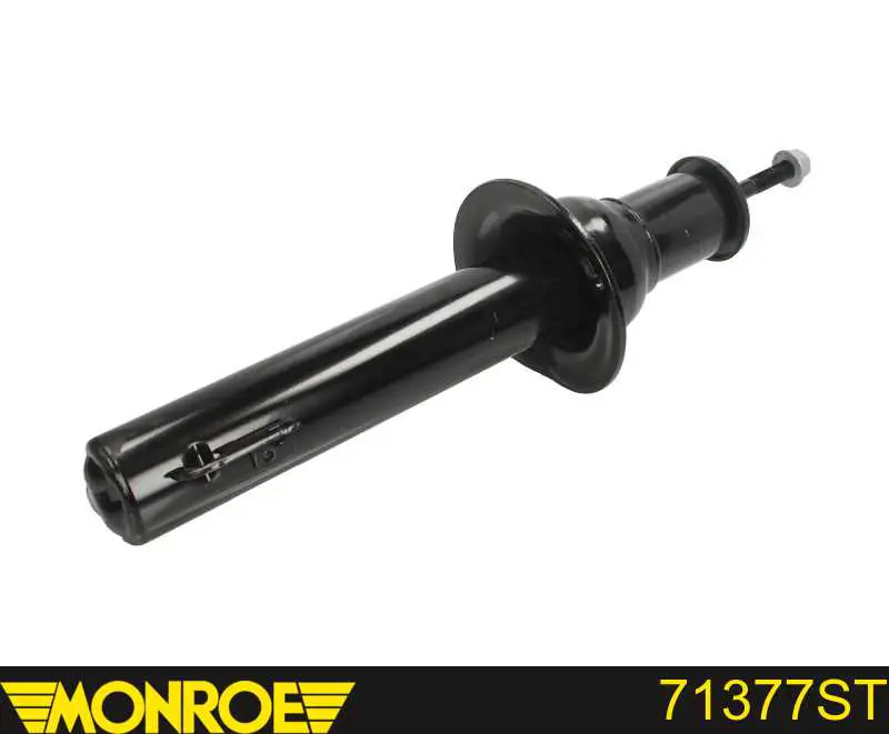 Амортизатор передній RS341603 Raiso