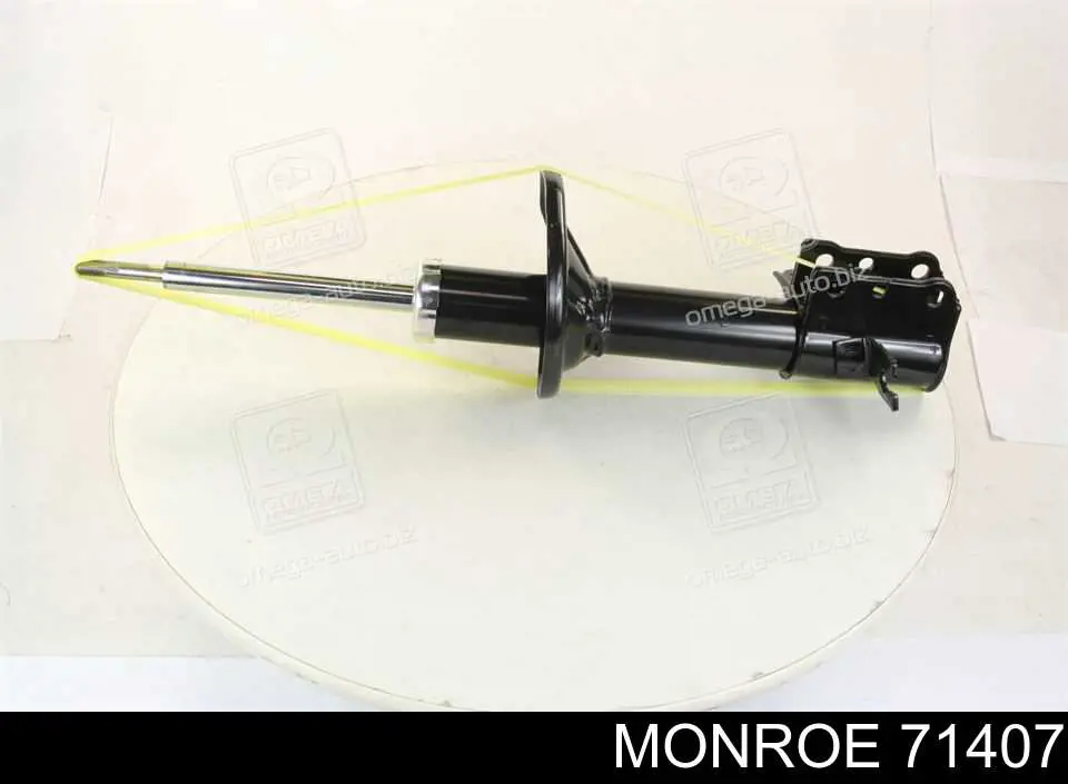 Купити RS317604 Raiso Амортизатор задній, лівий