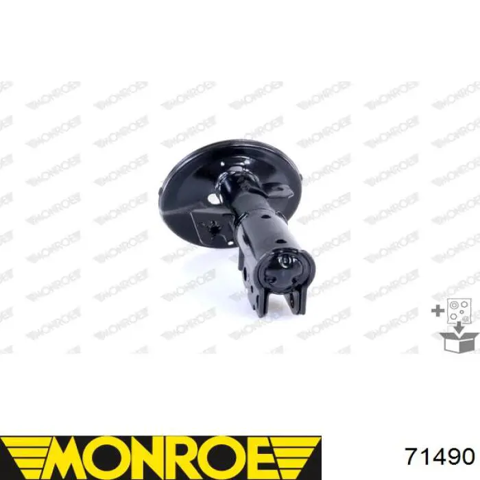 Амортизатор передній, правий RS313631 Raiso