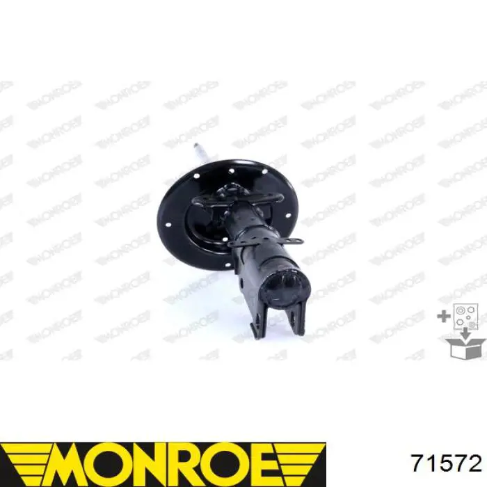 Амортизатор передній RS310202 Raiso